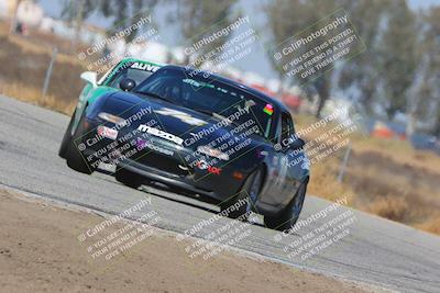 media/Oct-14-2023-CalClub SCCA (Sat) [[0628d965ec]]/Group 4/Qualifying/